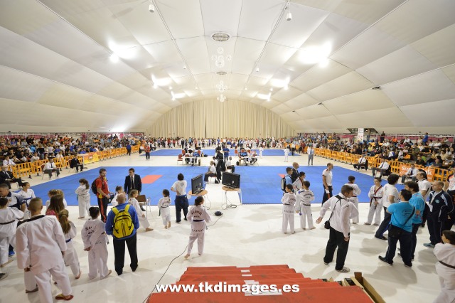 Cuatro medallas para Navarra en el Campeonato de Espa&ntilde;a de Poomsae